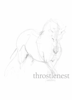 Le Chameau Ladies Vierzonord Wellingtons - Vert Vierzon -Throstlenest Saddlery Shop Screenshot 2019 11 12 at 12.50.10