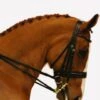 Albion KB Competition Crank Double Bridle - Black