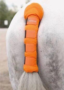 Shires Arma Padded Tail Guard - Orange