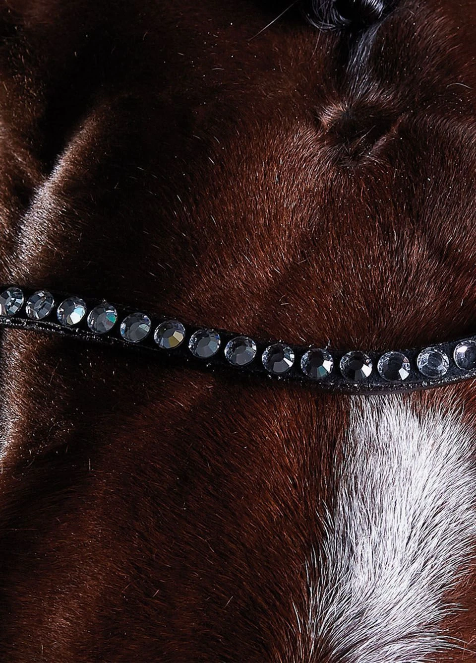 Collegiate Comfitec Crystal Training Bridle - Brown 5 Collegiate Comfitec Crystal Training Bridle - Brown - Image 3