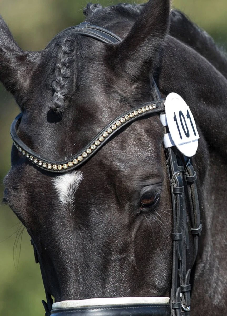 Equetech Bridle Number Holder (Pair) - White 3 Equetech Bridle Number Holder (Pair) - White