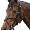 Fairfax Grackle Noseband - Black -Throstlenest Saddlery Shop fairfax grackle noseband black 1rdy