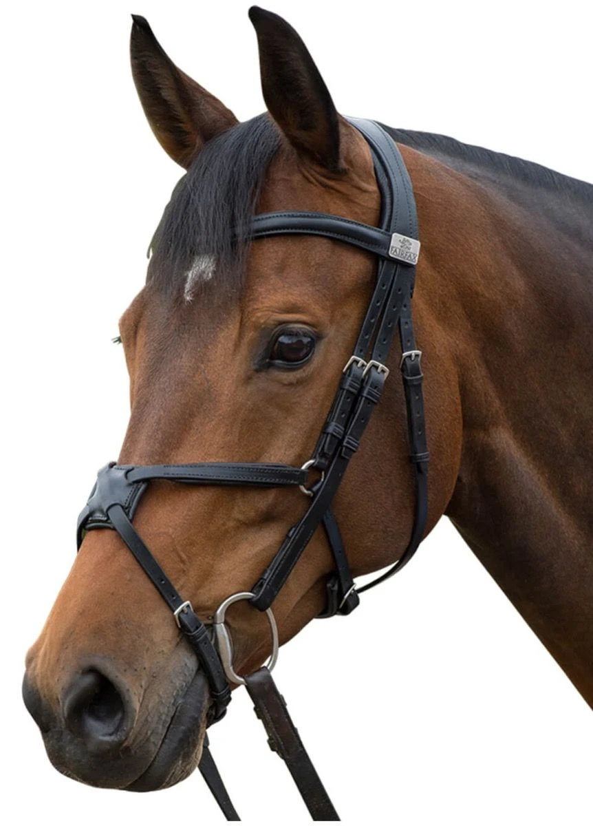 Fairfax Grackle Noseband - Black 2 Fairfax Grackle Noseband - Black