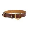 Fairfax & Favor Fitzroy Dog Collar - Tan -Throstlenest Saddlery Shop ff fitzroy collar tan 1rdy