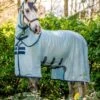 Amigo Bug Buster - Azure/Navy/Electric -Throstlenest Saddlery Shop horseware bug buster azure 1rdy
