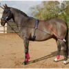 John Whitaker TSR Training System - Navy/Red 2 John Whitaker TSR Training System - Navy/Red -Throstlenest Saddlery Shop johnwhitaker tsr training system