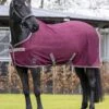 LeMieux Arika Air-Tek Sheet - Burgundy -Throstlenest Saddlery Shop lmarikaairburgundyrdy