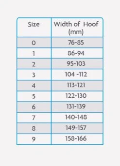 Woof Wear Medical Hoof Boot - Blue -Throstlenest Saddlery Shop medicalhoofchartrdy