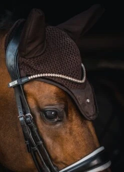 Throstlenest Saddlery Shop -Throstlenest Saddlery Shop psmambahatcoffee2rdy