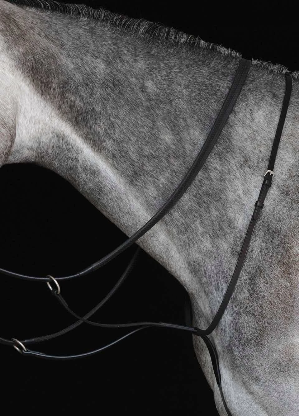 Collegiate New Running Martingale - Black 3 Collegiate New Running Martingale - Black