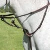 Shires Avignon Running Martingale - Havana -Throstlenest Saddlery Shop shires avignon running martingale havana 1rdy