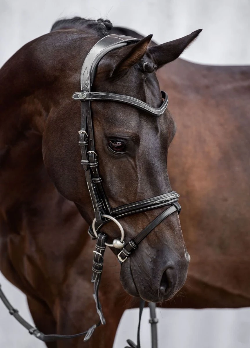 PS Of Sweden Stockholm Bridle - Black 3 PS Of Sweden Stockholm Bridle - Black