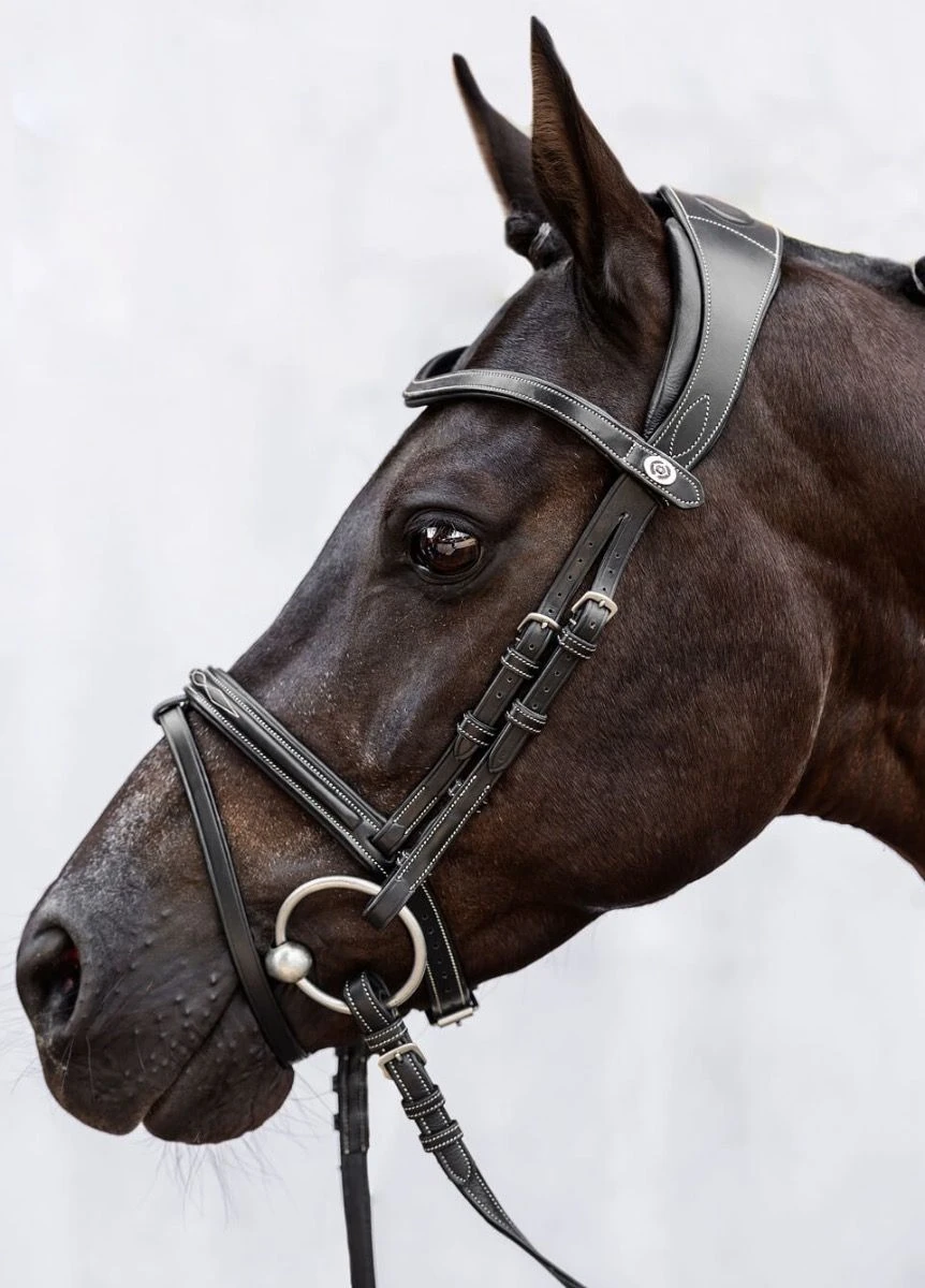 PS Of Sweden Stockholm Bridle - Black 4 PS Of Sweden Stockholm Bridle - Black - Image 2
