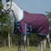 Weatherbeeta Essential Standard Neck Medium - Grape/Blue 1 Weatherbeeta Essential Standard Neck Medium - Grape/Blue -Throstlenest Saddlery Shop wb standard medium grape 1rdy