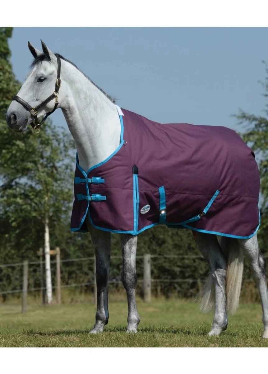 Weatherbeeta Essential Standard Neck Medium - Grape/Blue 3 Weatherbeeta Essential Standard Neck Medium - Grape/Blue