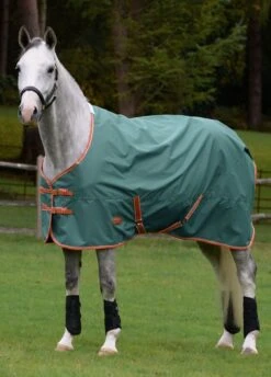 Weatherbeeta ComFITec Tyro Standard Neck Lite Plus - Green/Burnt Orange