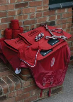 Weatherbeeta Coordinate Headcollar - Ruby -Throstlenest Saddlery Shop wbbirthday2 2