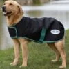 Weatherbeeta Green-Tec 900D Dog Coat Medium - Black/Bottle Green -Throstlenest Saddlery Shop wbgreentecblack1rdy