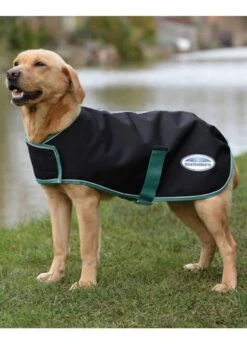 Weatherbeeta Green-Tec 900D Dog Coat Medium - Black/Bottle Green
