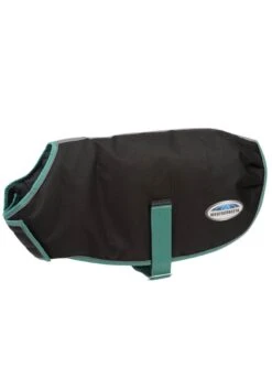 Weatherbeeta Green-Tec 900D Dog Coat Medium - Black/Bottle Green -Throstlenest Saddlery Shop wbgreentecblack4rdy